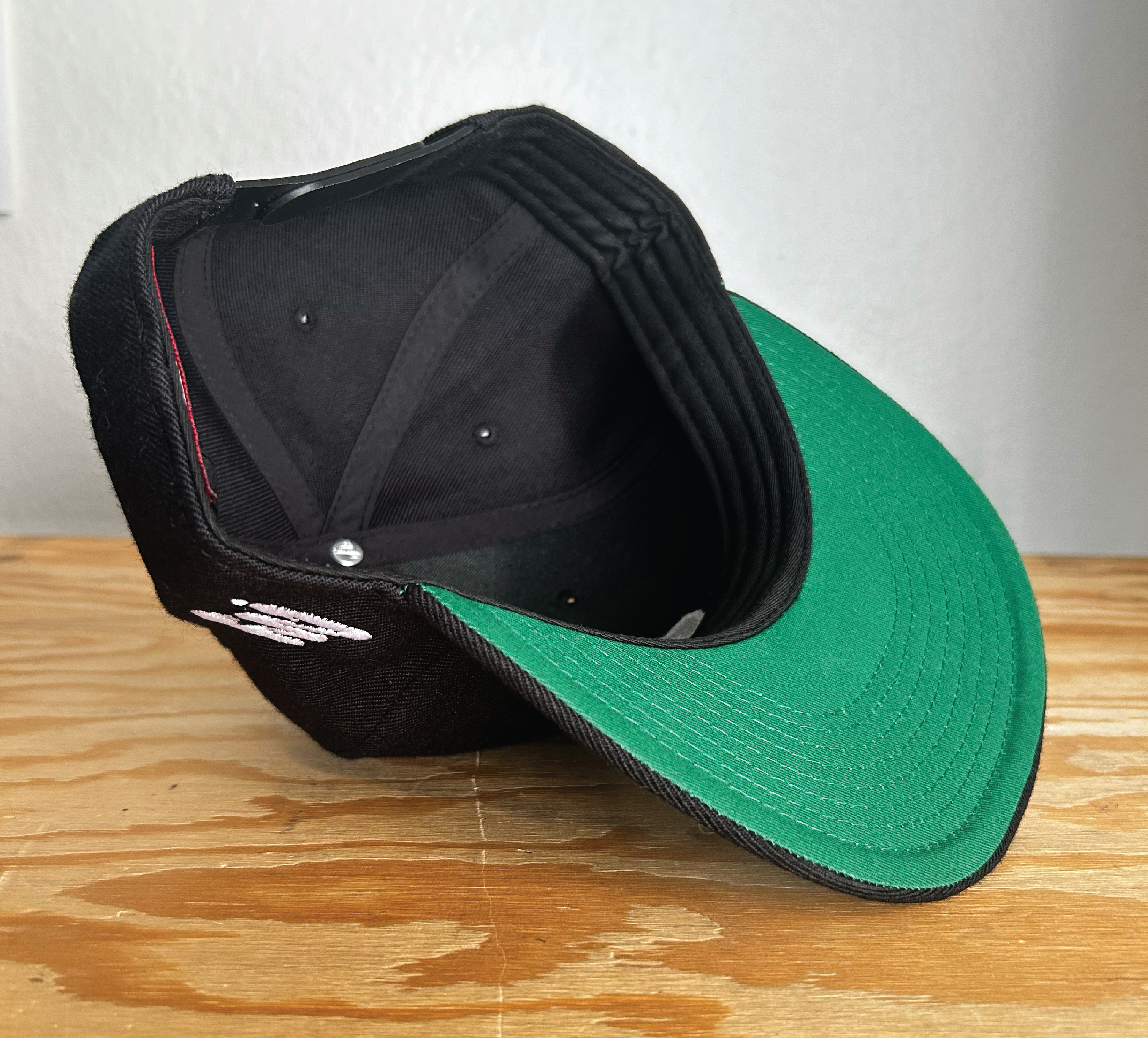 Hang In There Snapback